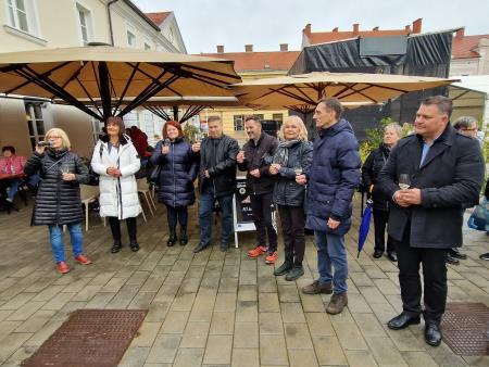 martinovanje v Ljutomeru (5)